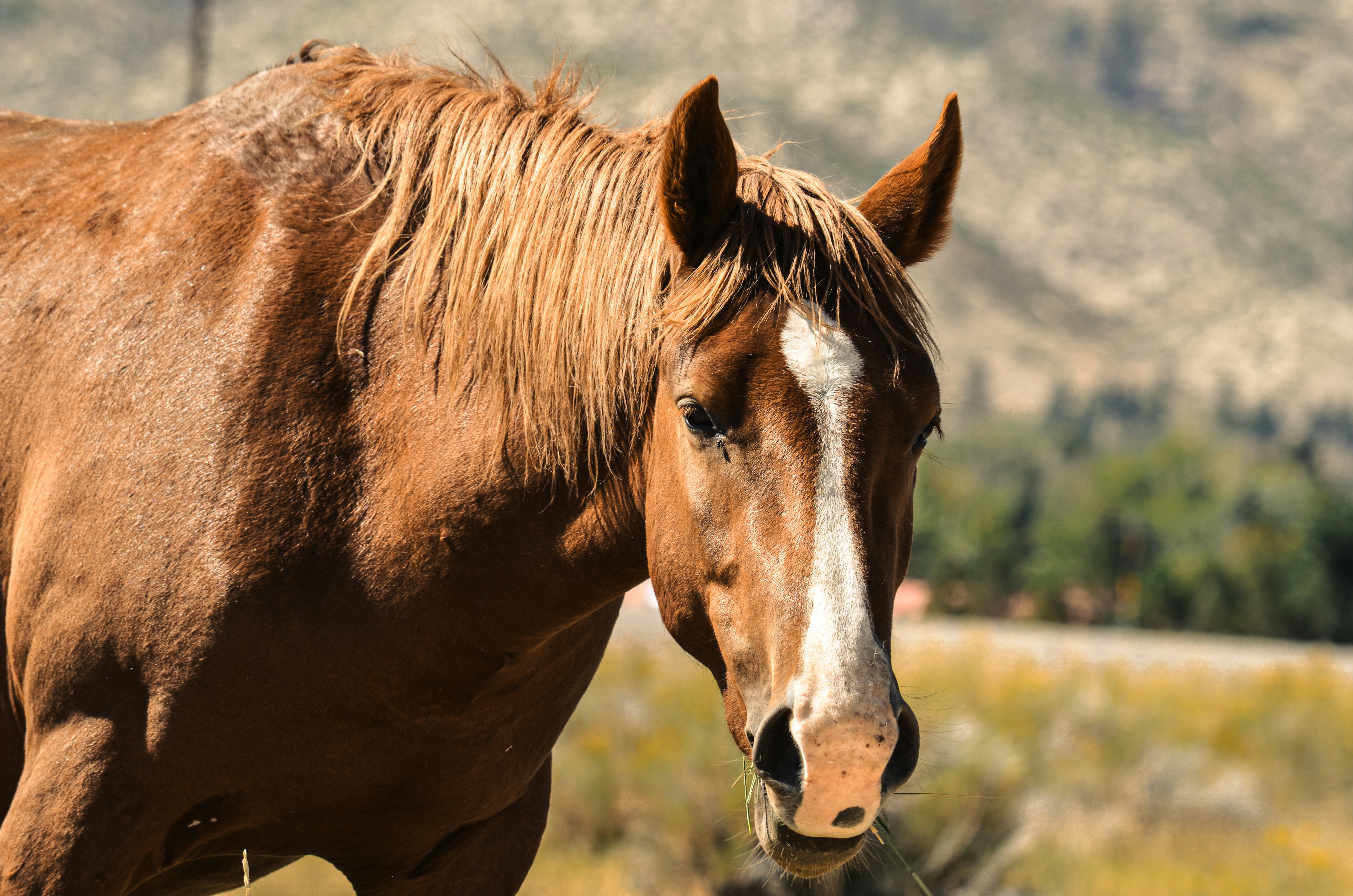 Photo by rachel_joyce