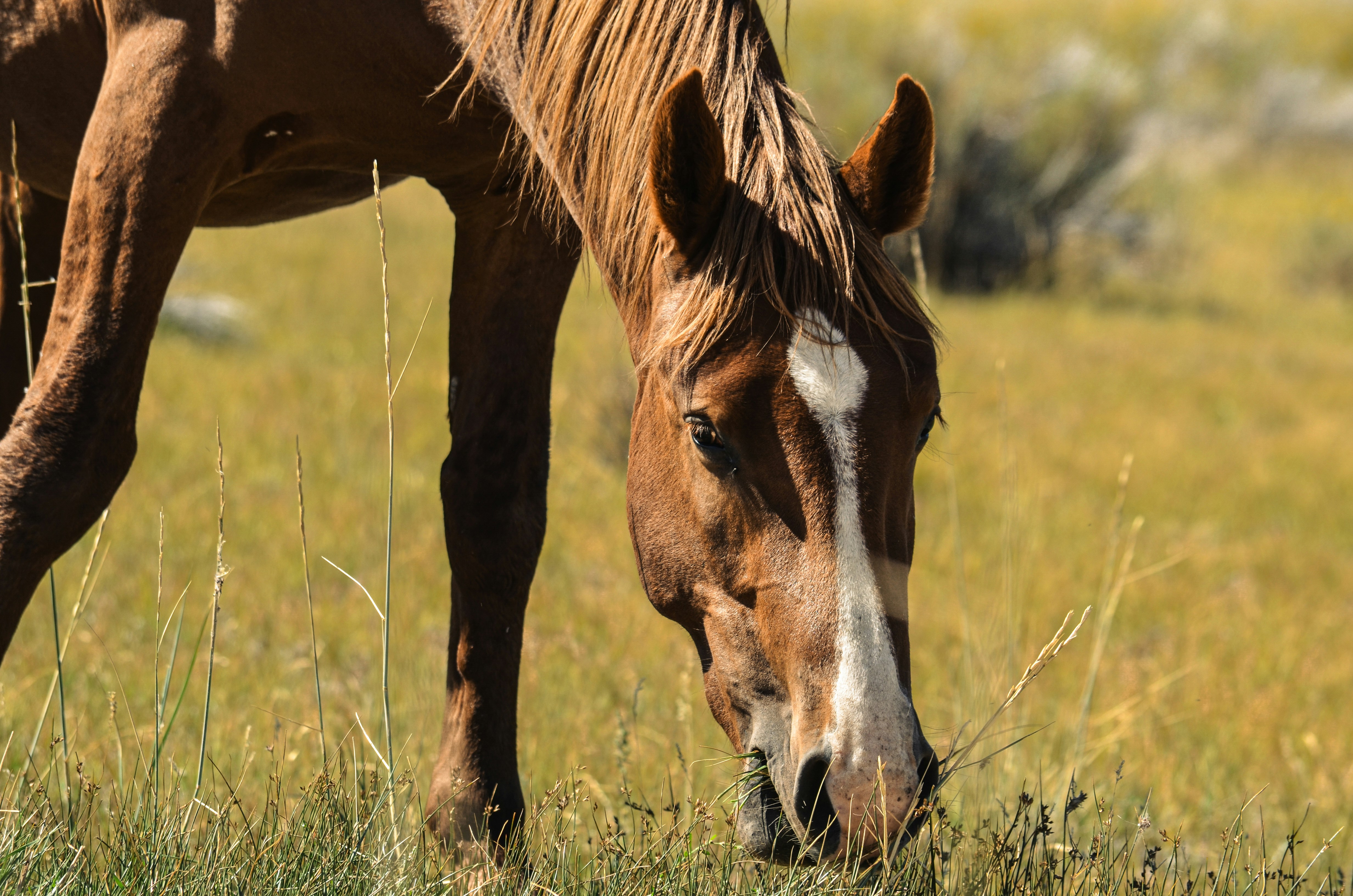 Photo by rachel_joyce