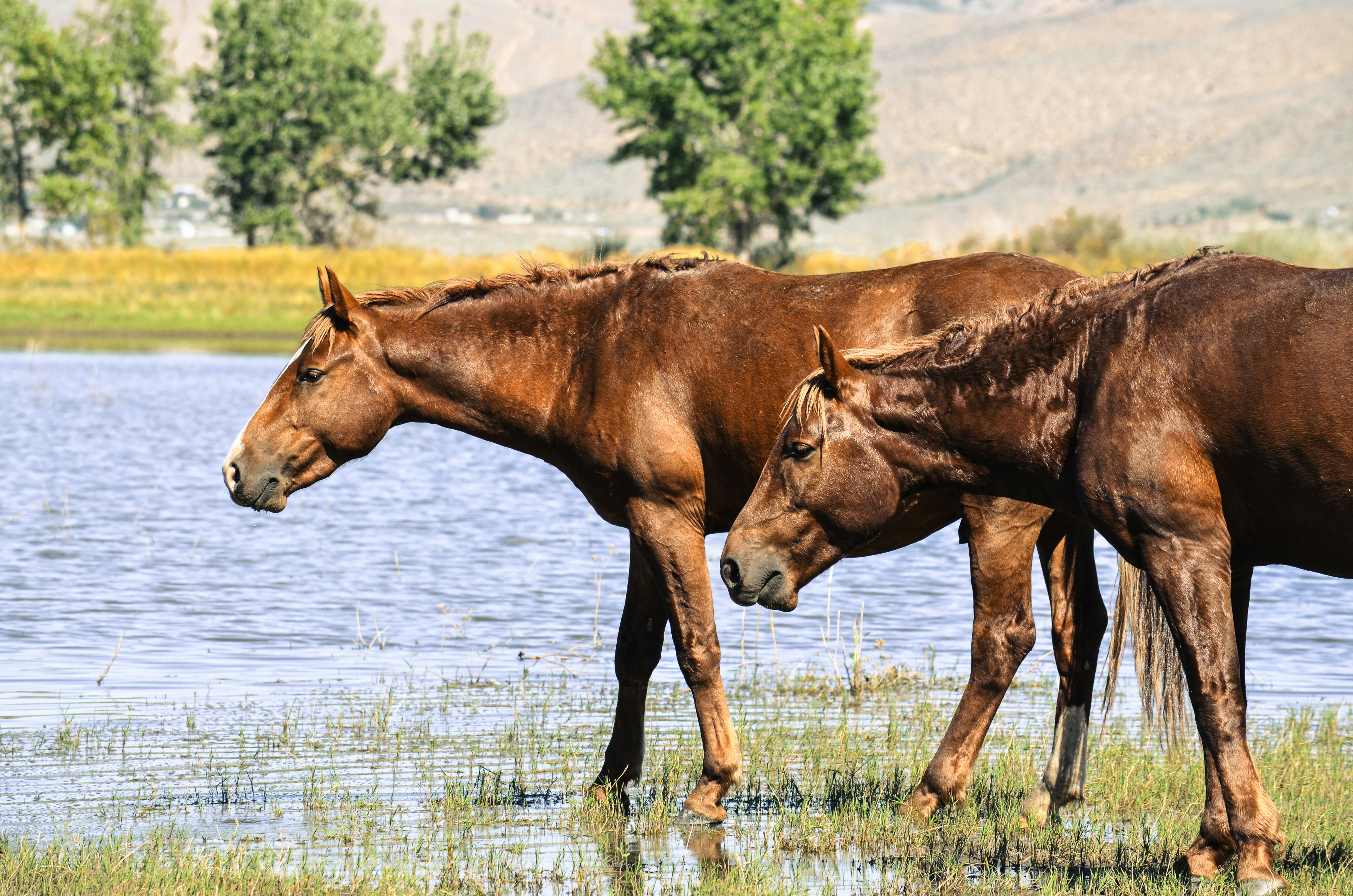 Photo by rachel_joyce