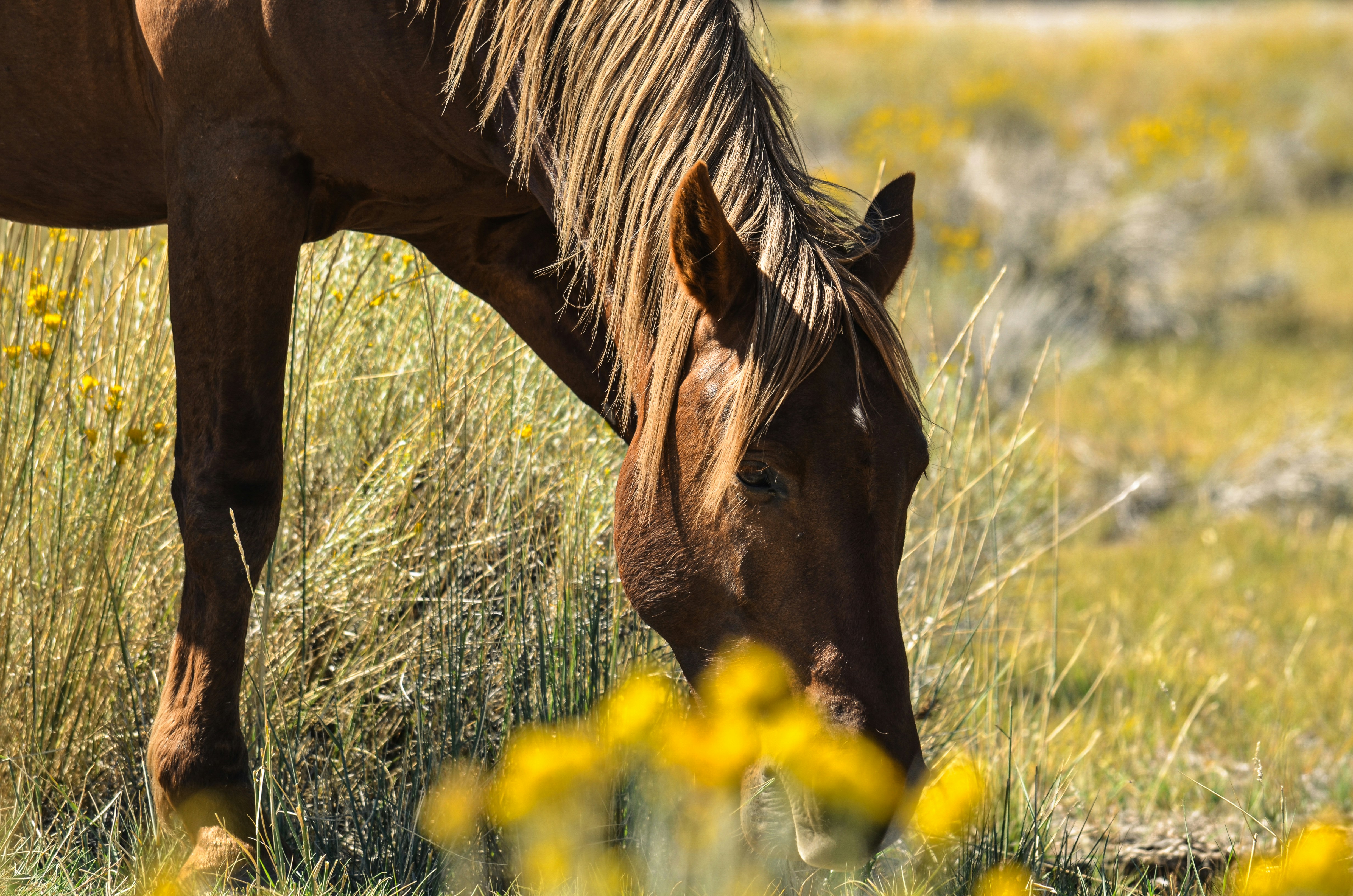 Photo by rachel_joyce