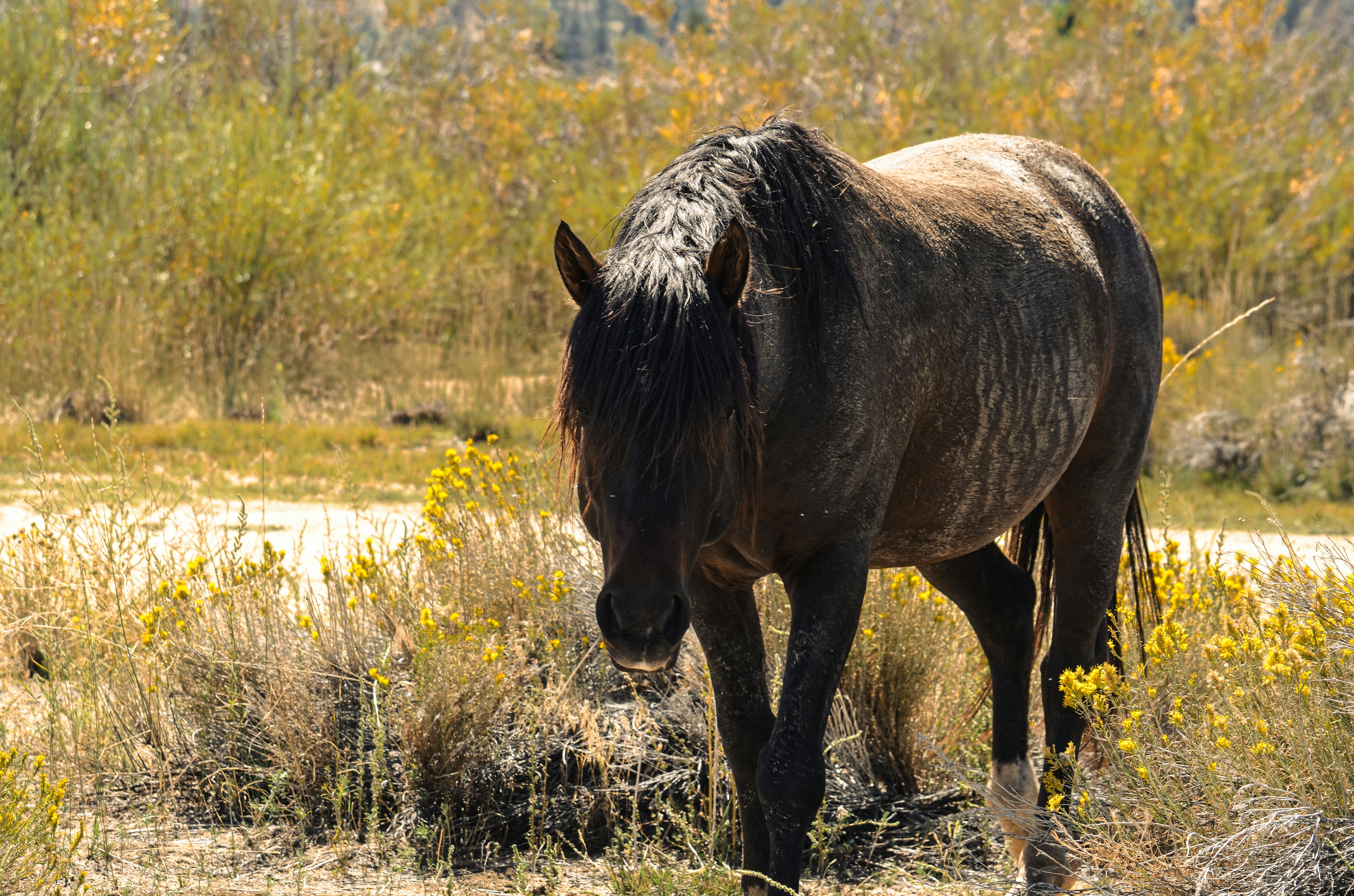 Photo by rachel_joyce