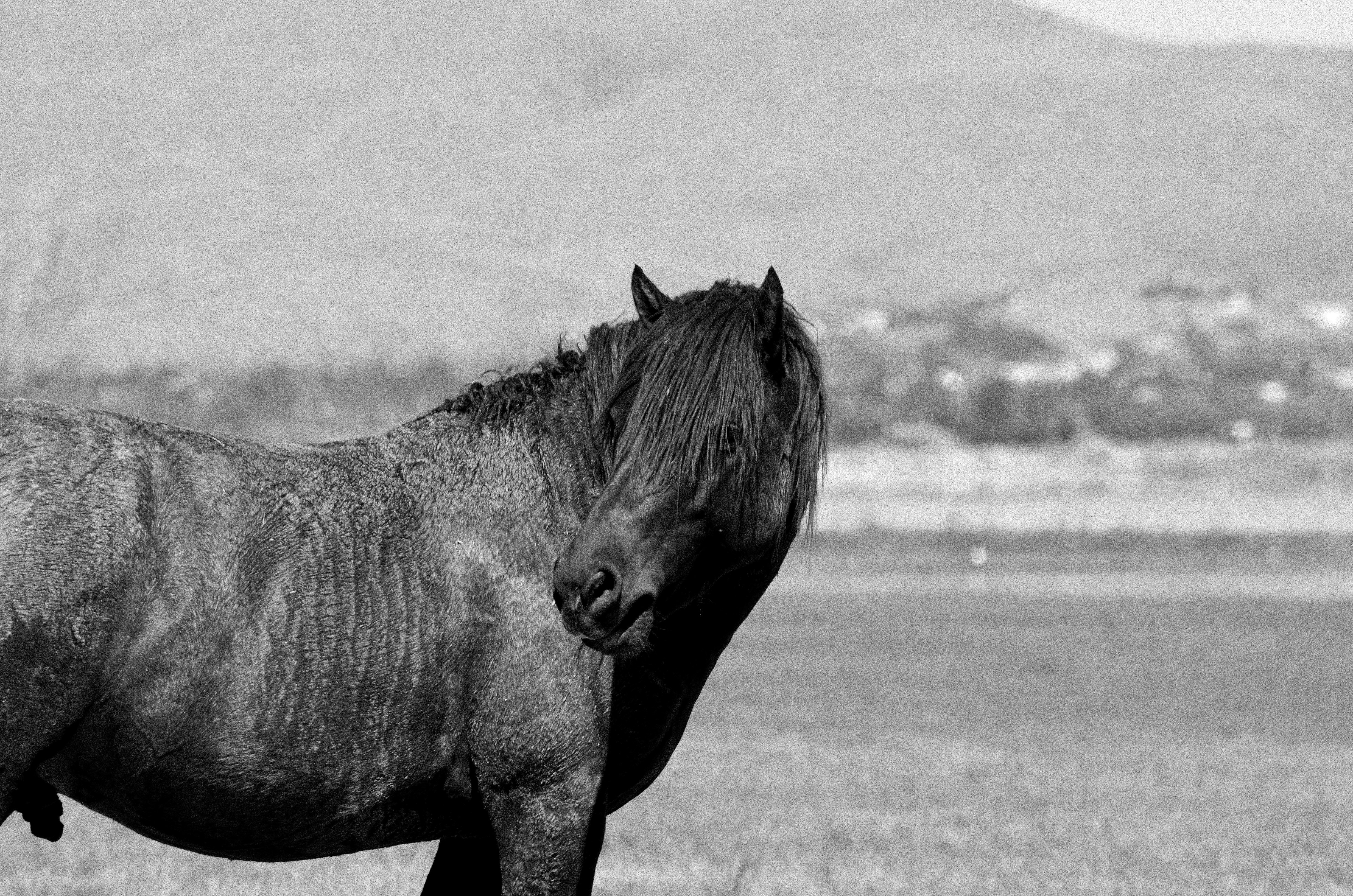 Photo by rachel_joyce