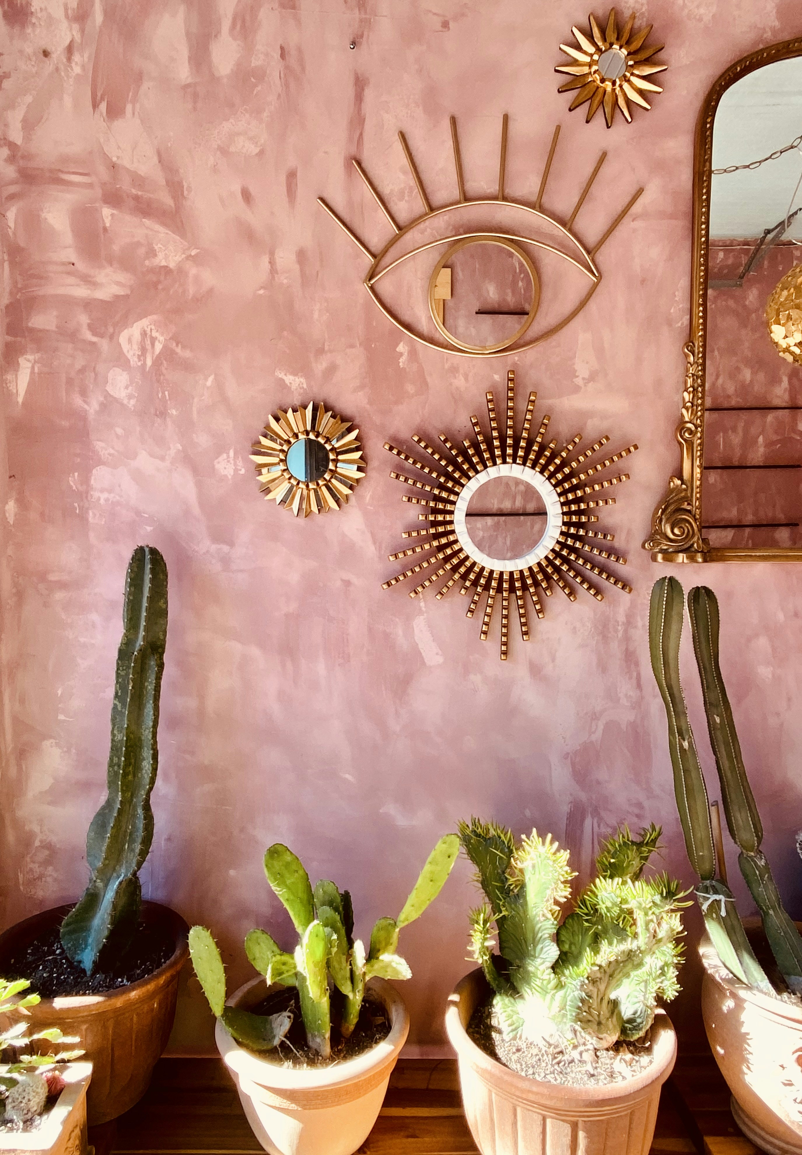 una pared rosa con plantas en macetas y un espejo