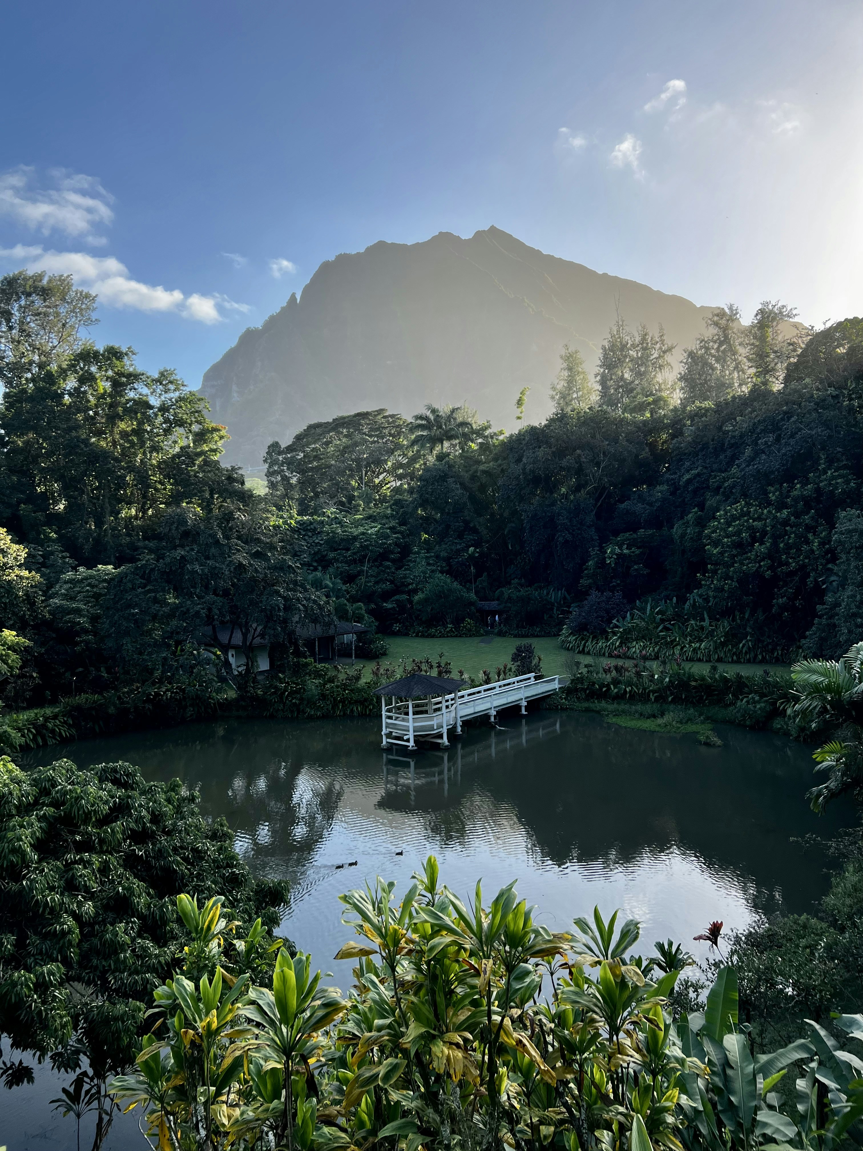un lago rodeado de árboles y un puente