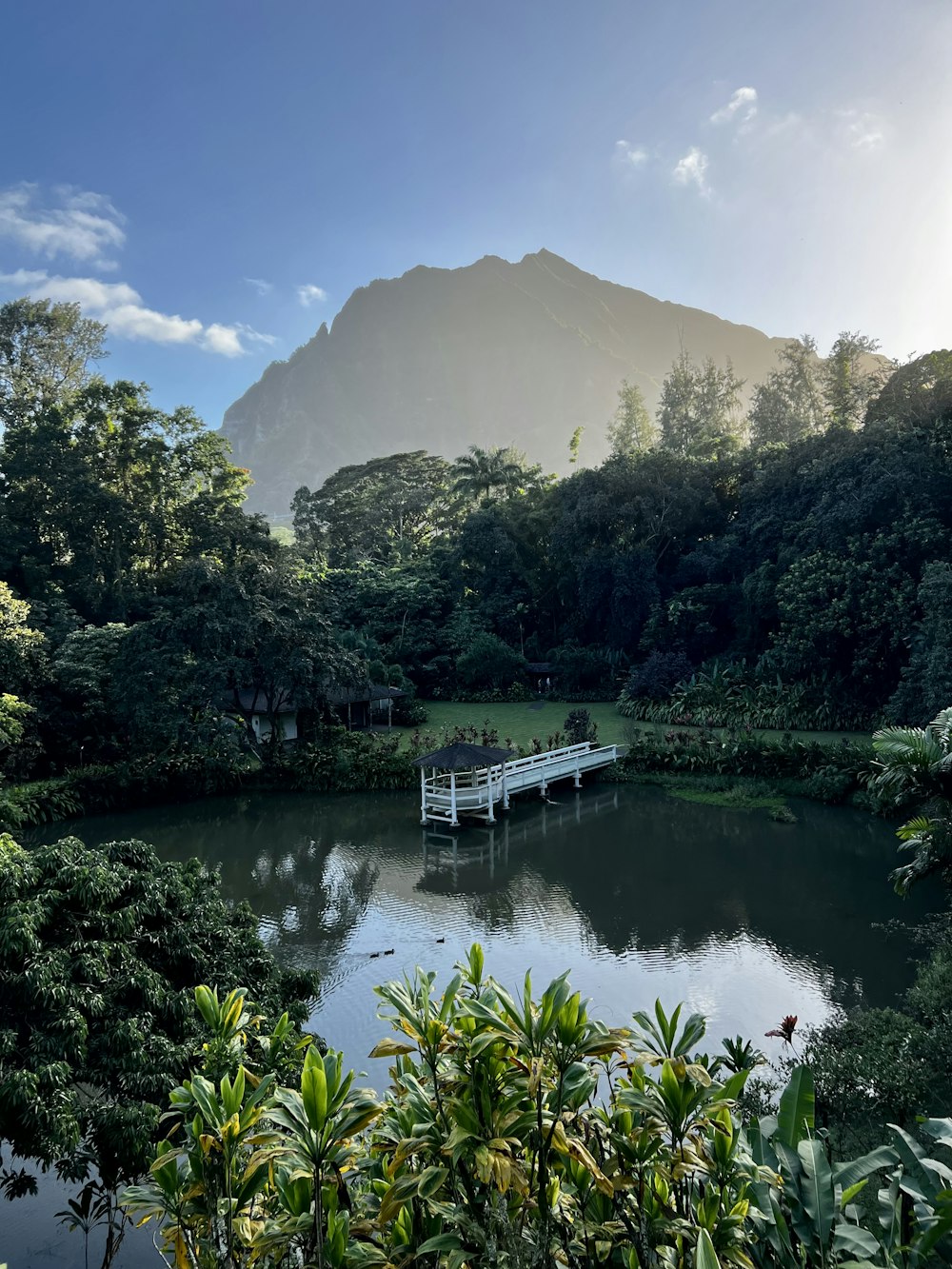 a lake surrounded by trees and a bridge