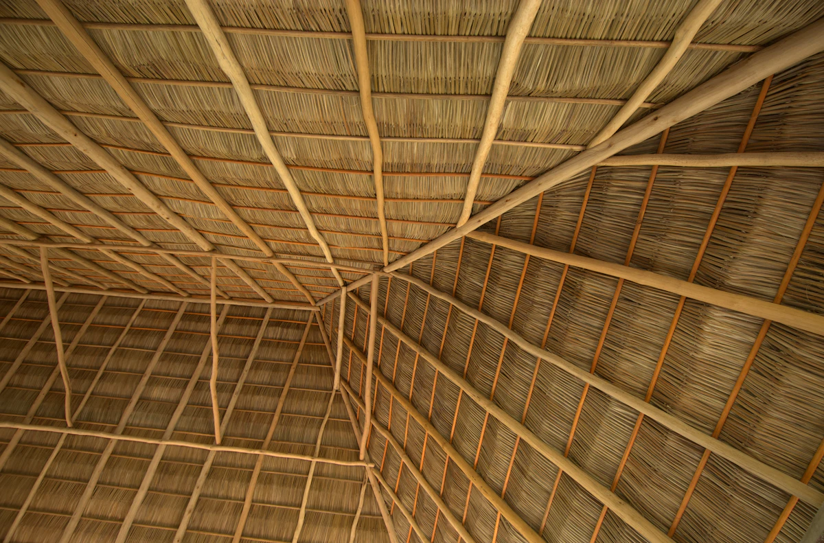 Estrutura de cobertura em bambu vista de baixo