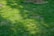 A lush green lawn with sunlight filtering through, creating patches of light and shadow. The grass is dense and well-maintained, with some areas appearing slightly dry.