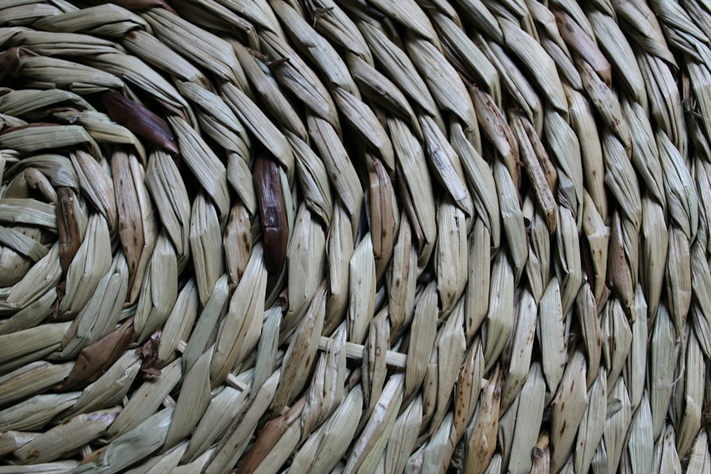 Natural Jute Field