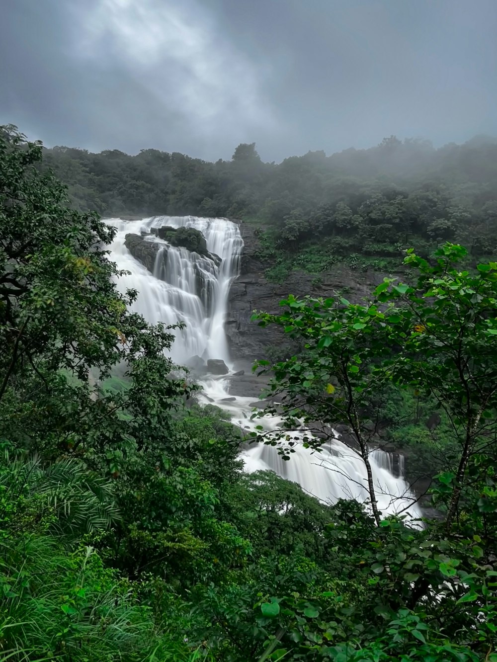 a large waterfall in the middle of a forest