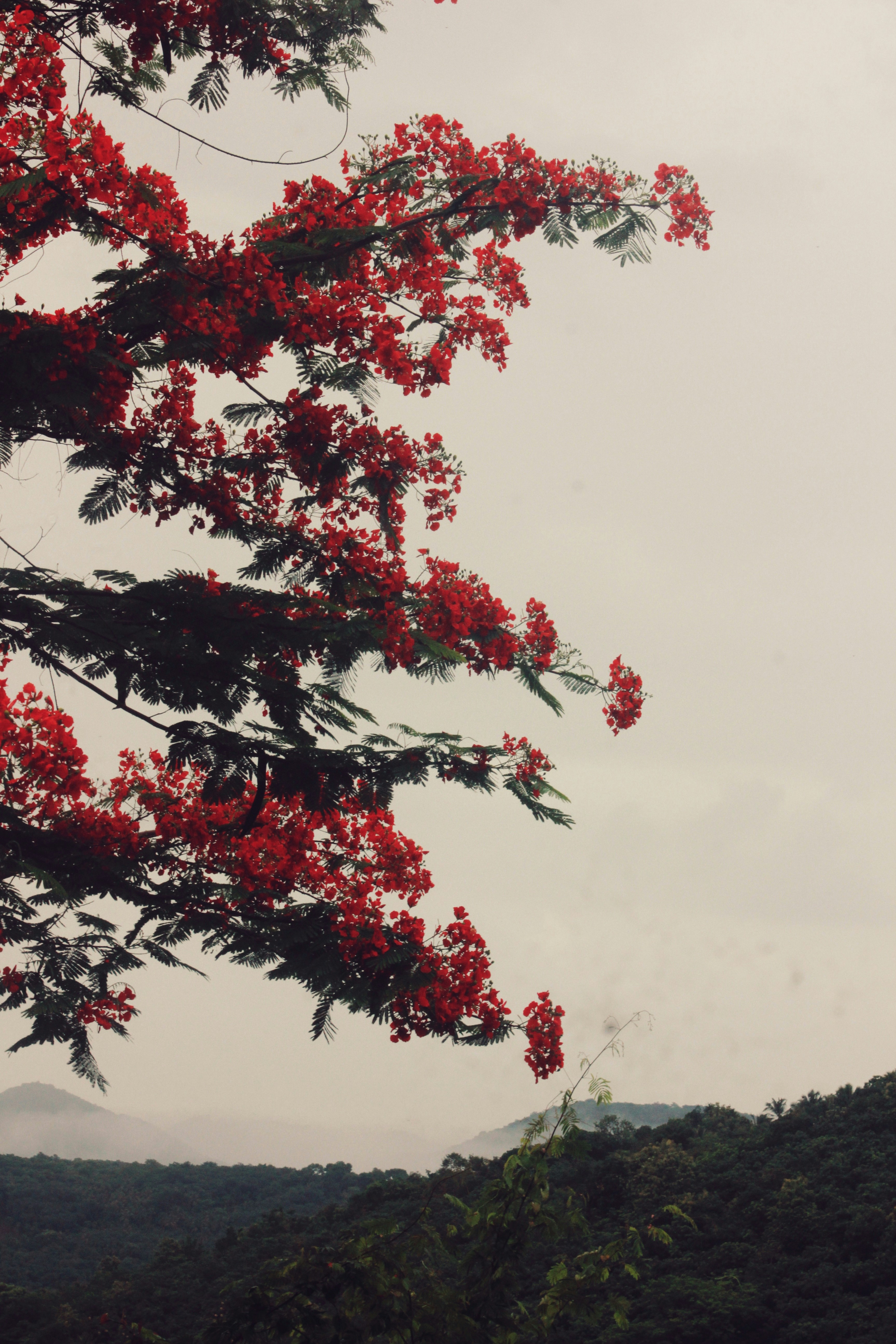 Photo by anandhu_chndrn