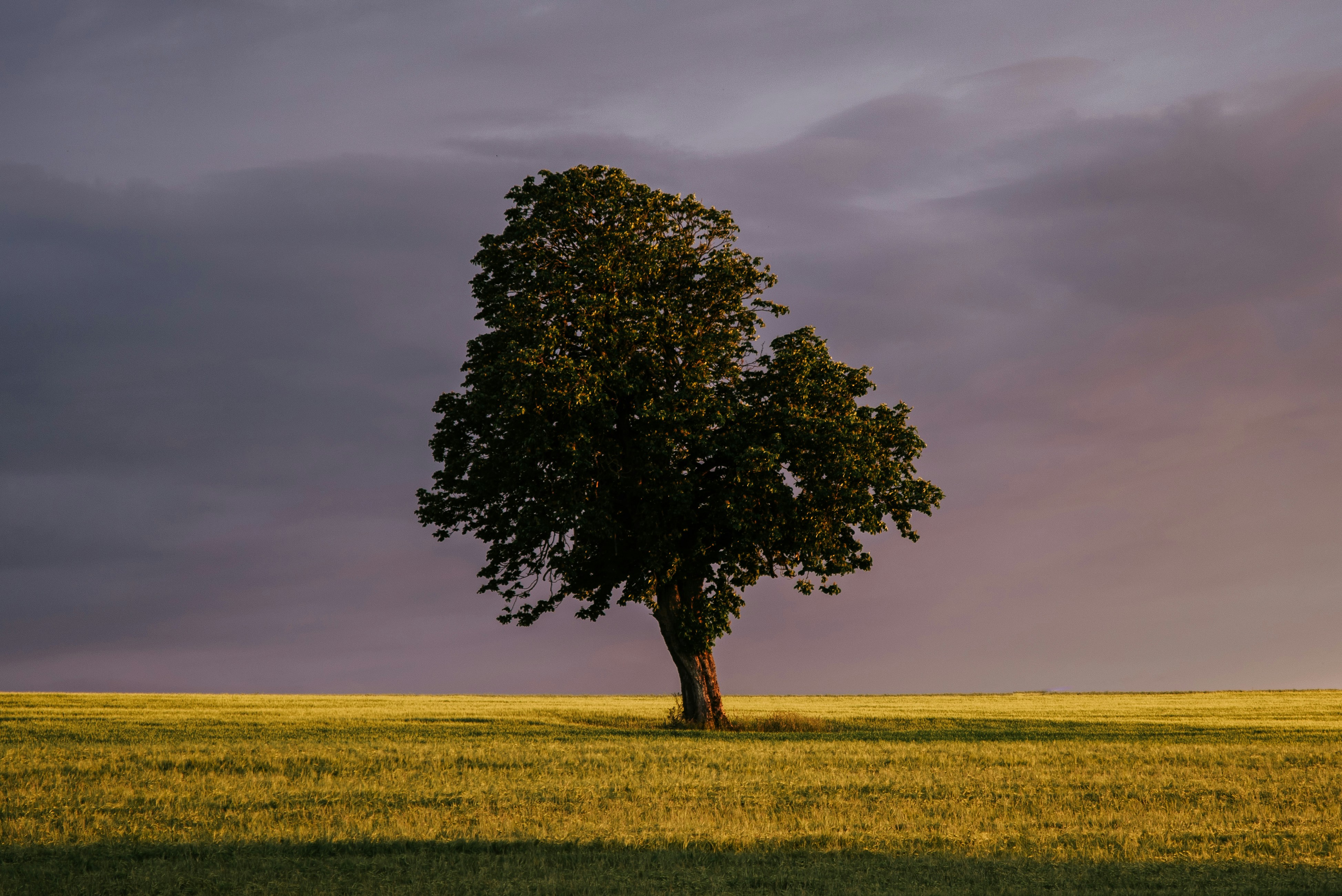 Photo by silassch_92