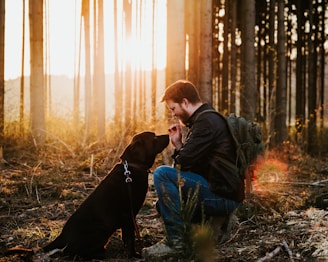 A person kneels in a forest, interacting with a black dog. They seem engaged and affectionate, surrounded by tall trees with sunlight filtering through. The person is wearing a jacket and has a backpack, suggesting they might be hiking.