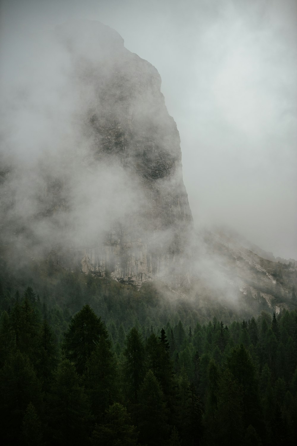 a mountain covered in fog with trees below