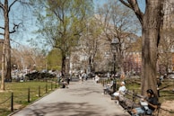Visitors enjoying a sunny day at a popular local park surrounded by trees.