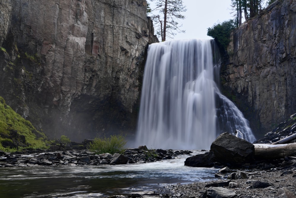 a waterfall with a fallen tree in the foreground