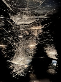 A series of intricate and chaotic web-like structures are suspended in a dark environment. The webs appear dense and interconnected, creating a mysterious and complex network. Some light sources below cast subtle reflections and highlight parts of the webs, enhancing the contrast against the dark background.