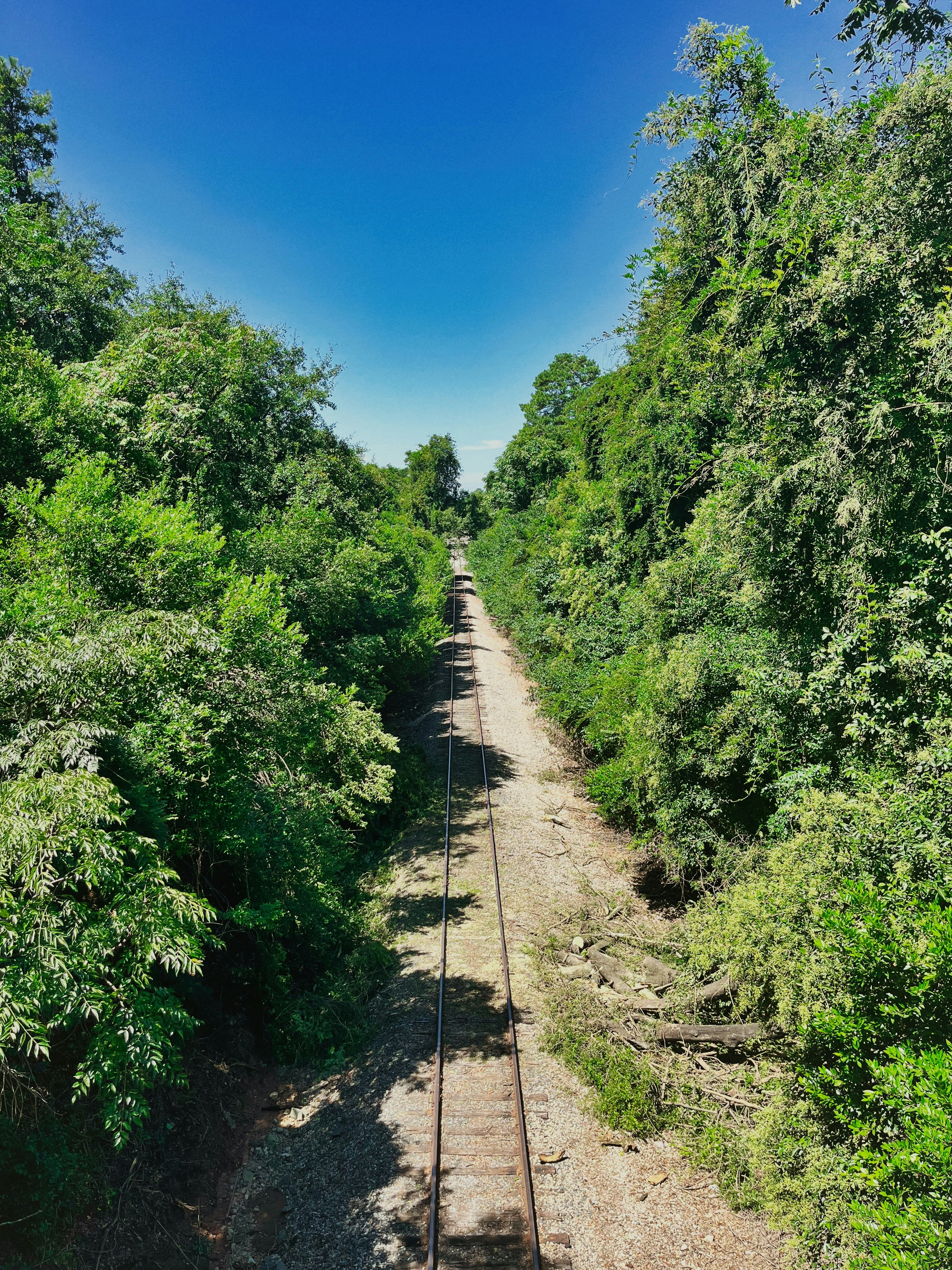 A train track running through a lush green forest photo Free Green