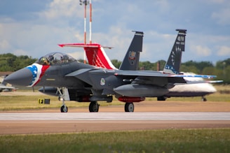 A fighter jet with a distinctive star-spangled design on its nose cone and tail is positioned on a runway. It’s a sleek, gray military aircraft with noticeable insignia and markings. Surrounding it is a grassy area and other aircraft in the background, under a partly cloudy sky.