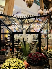 A festive display of seasonal floral arrangements.