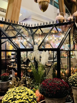 A festive display of seasonal floral arrangements.