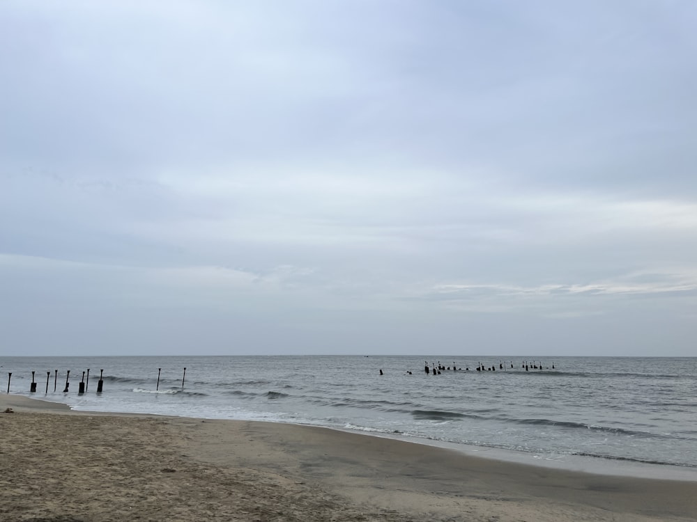 Un grupo de personas de pie en la cima de una playa de arena