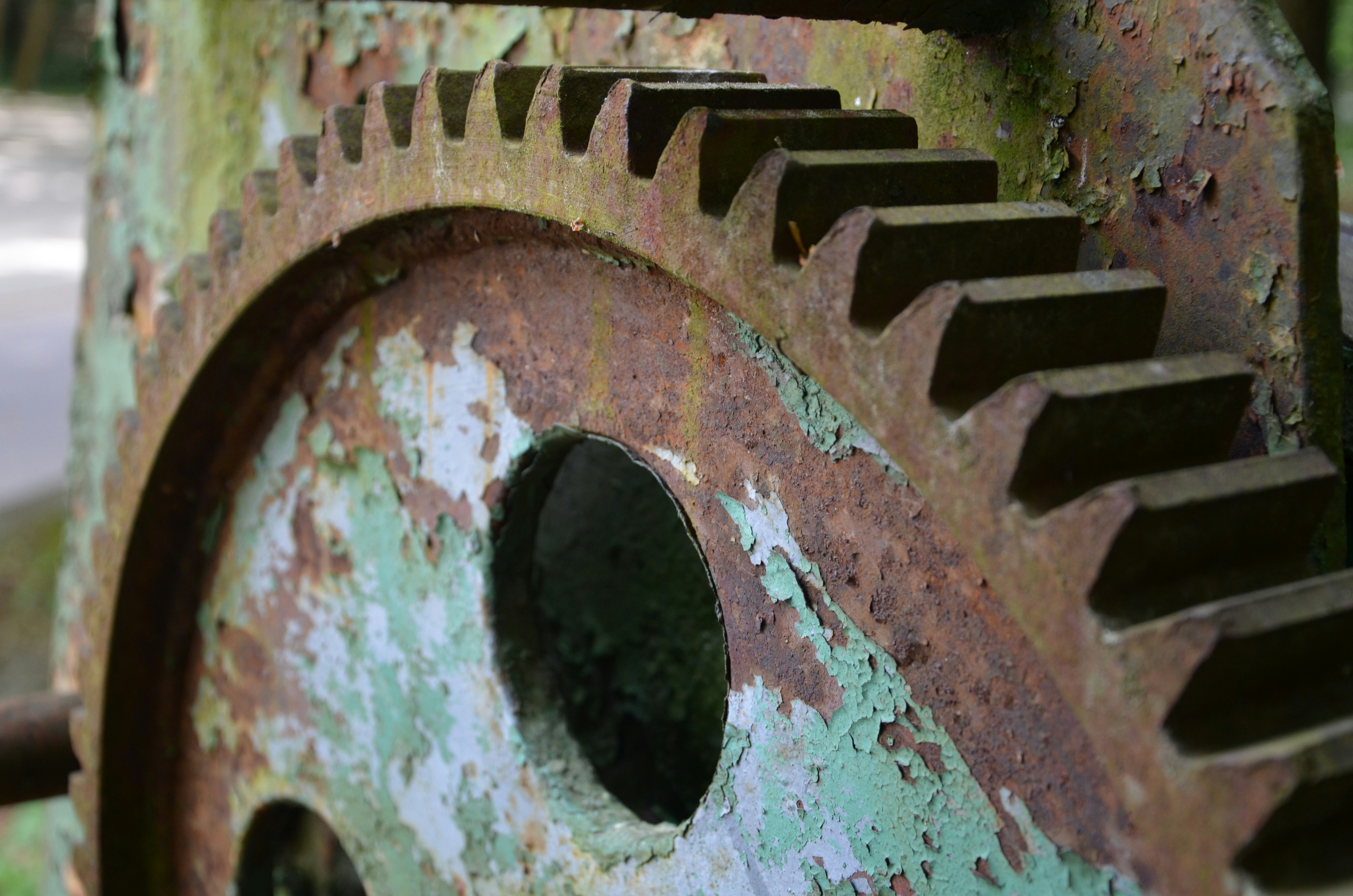 Photo by renovatio72