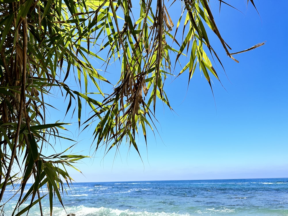 a view of the ocean from a beach