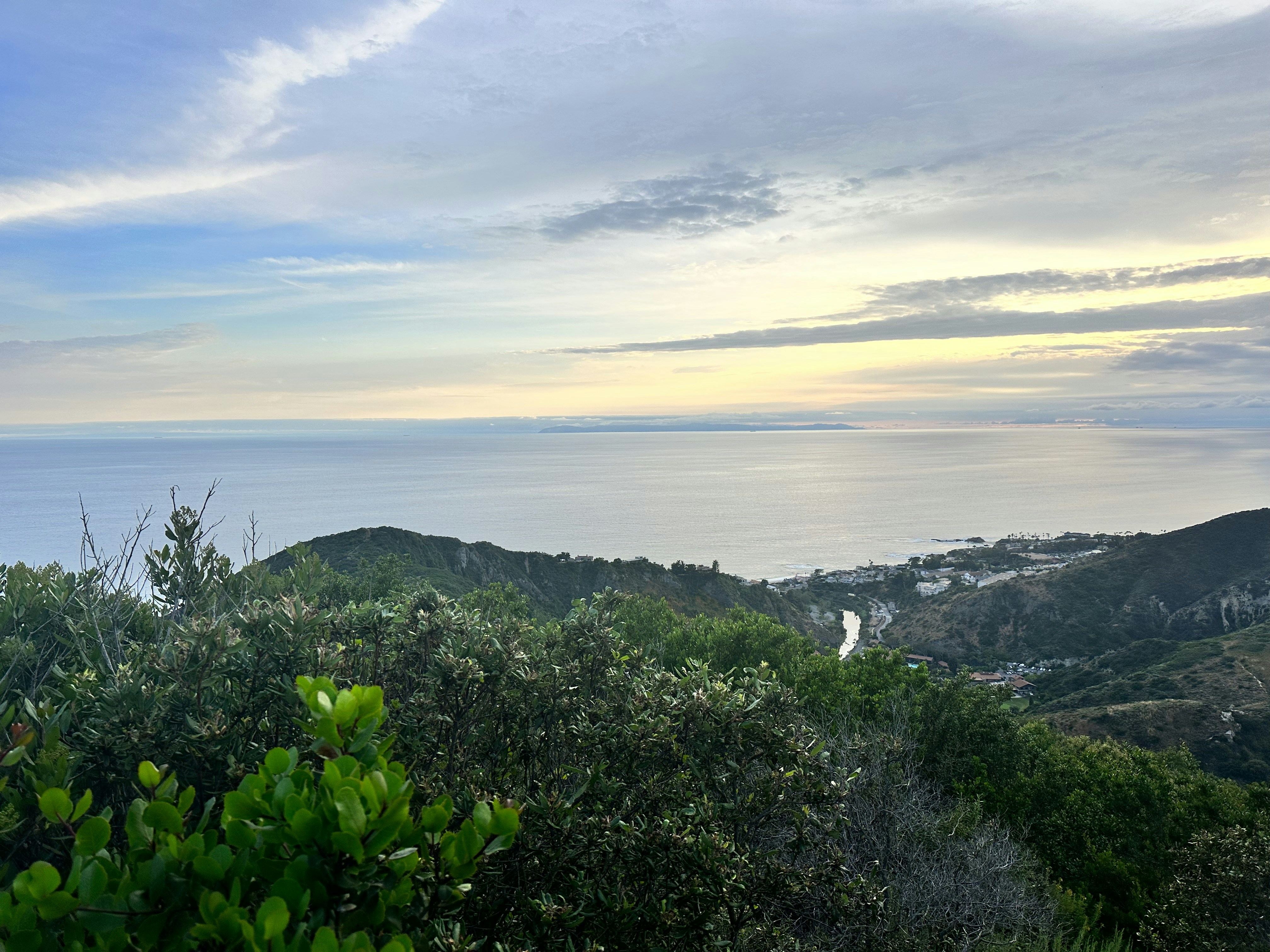 Photo by michaelgottron