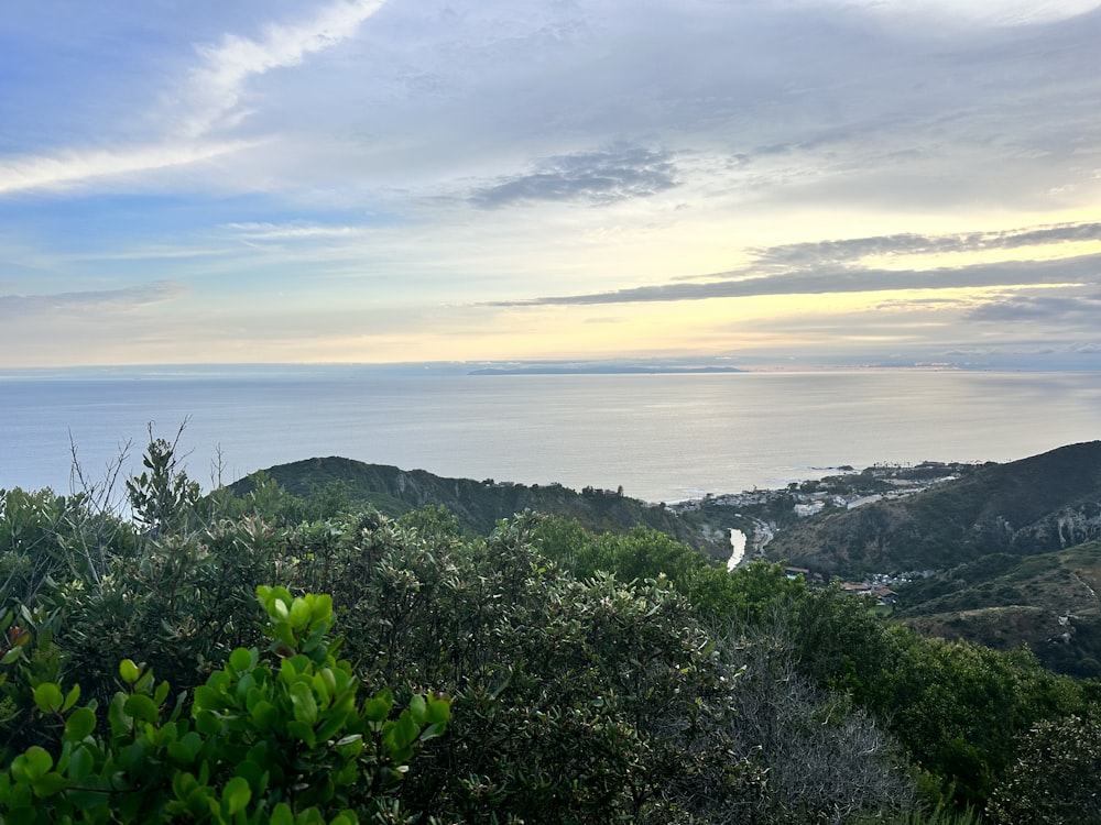 a view of the ocean from a hill top