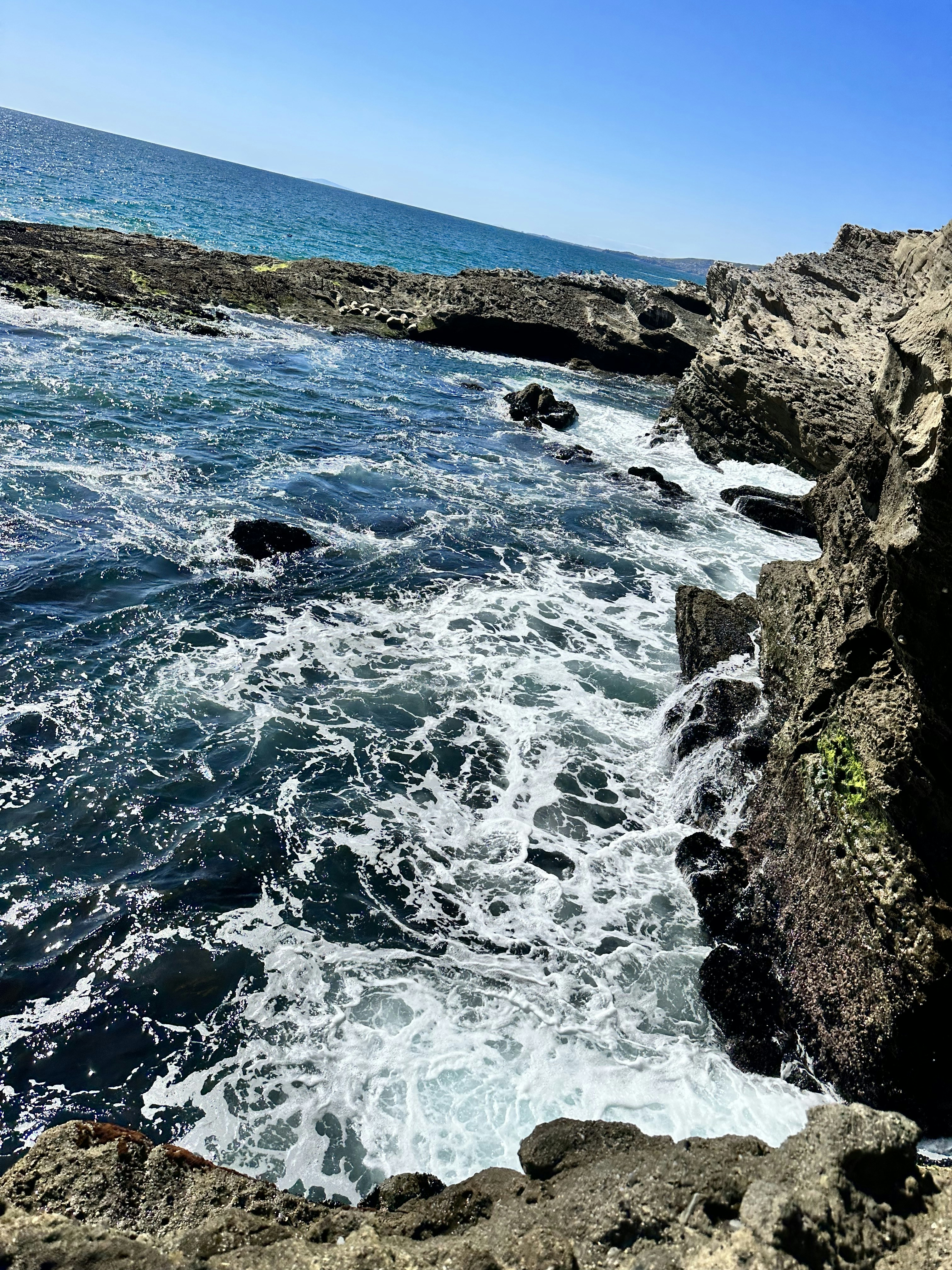 Photo by michaelgottron