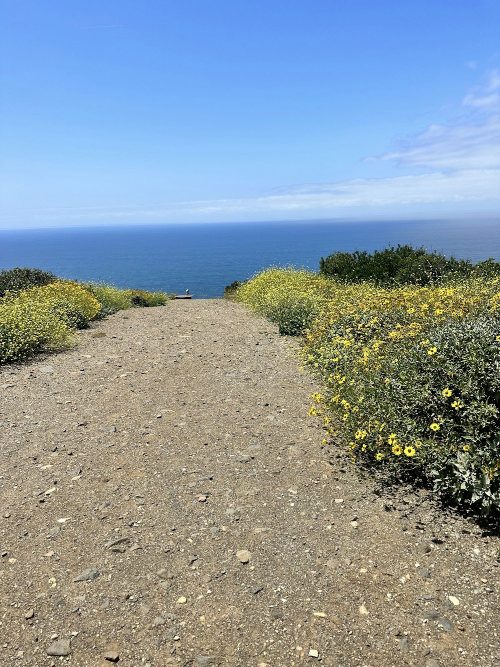a dirt path leading to the ocean on a sunny day