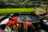 A circular stone water structure with flowing water in a lush green landscape. Bright red flowers are in the foreground, adding vibrant contrast. In the background, terraced fields are visible, separated by a fence, with dense green foliage and a white bridge crossing over a creek.