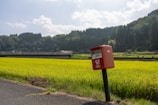 A quiet rural post office surrounded by native Australian flora under a clear blue sky.