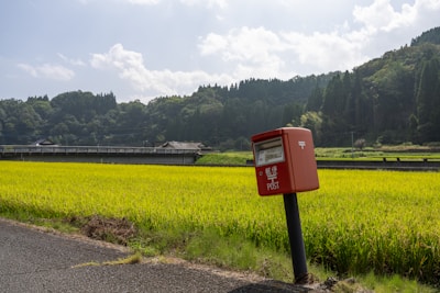 A quiet rural post office surrounded by native Australian flora under a clear blue sky.