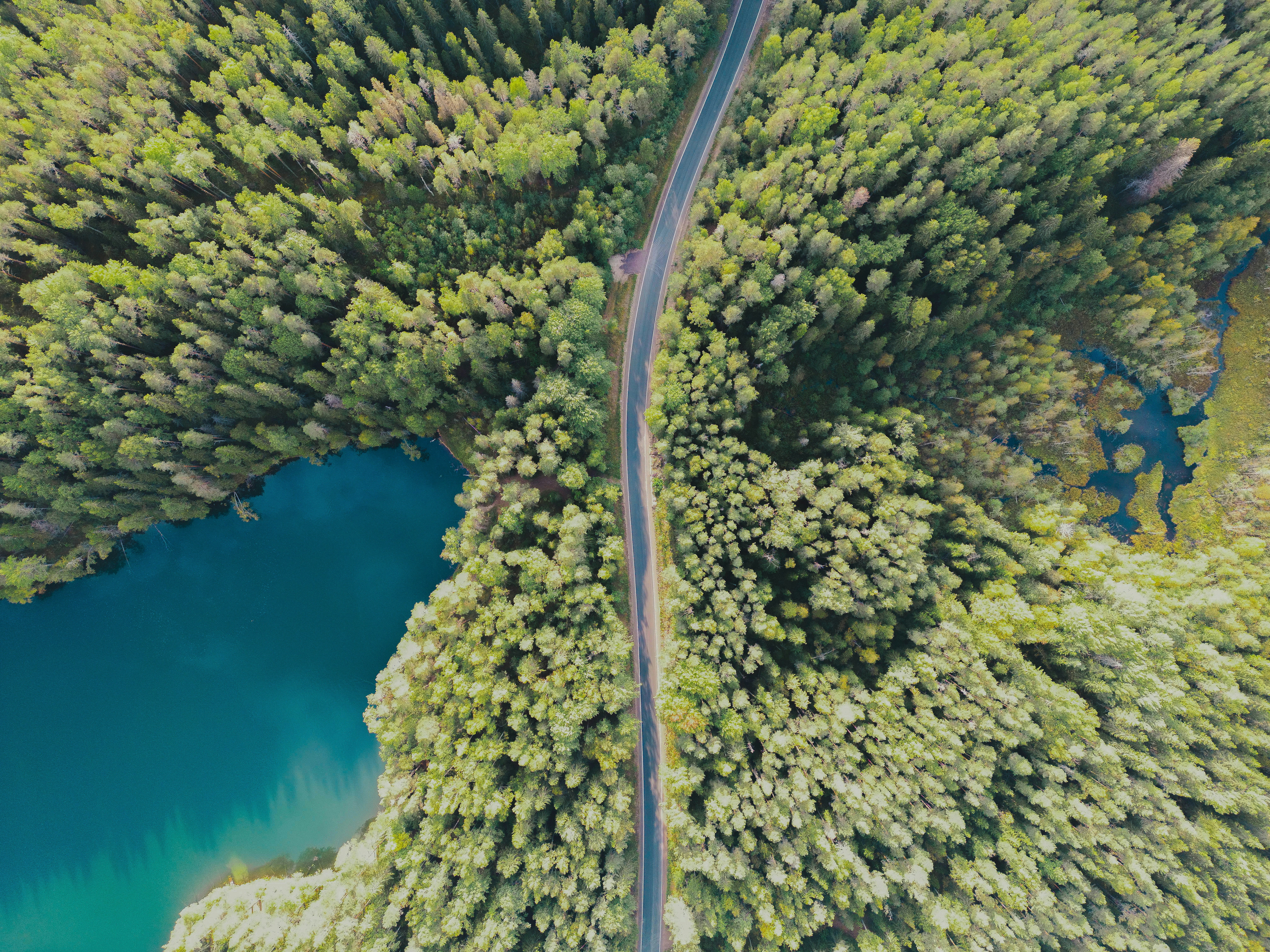 an aerial view of a road in the middle of a forest