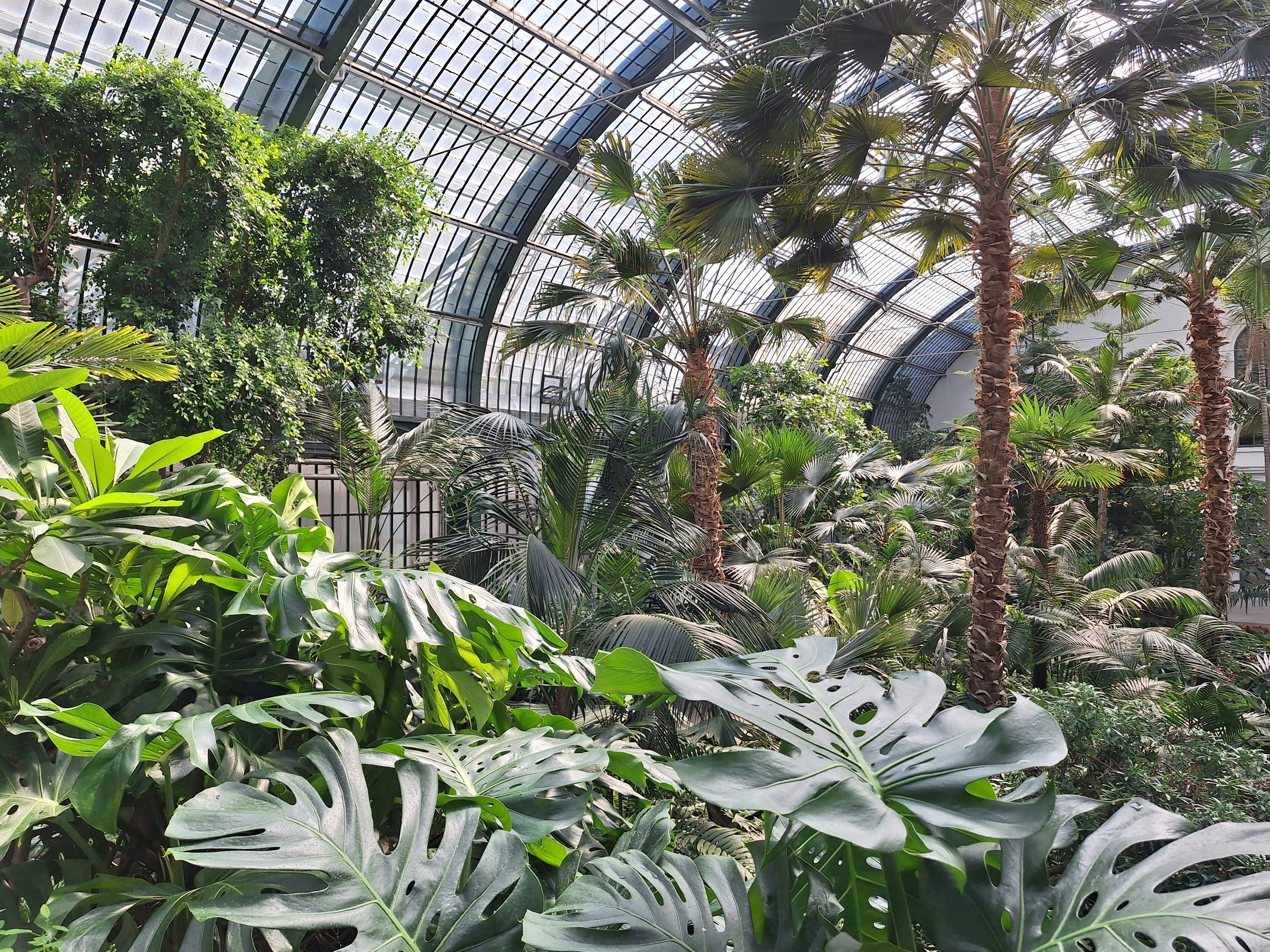 Photo by calin_oancea