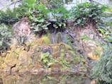 A stunning artificial rock formation in a lush garden.