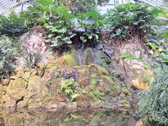 A stunning artificial rock formation in a lush garden.