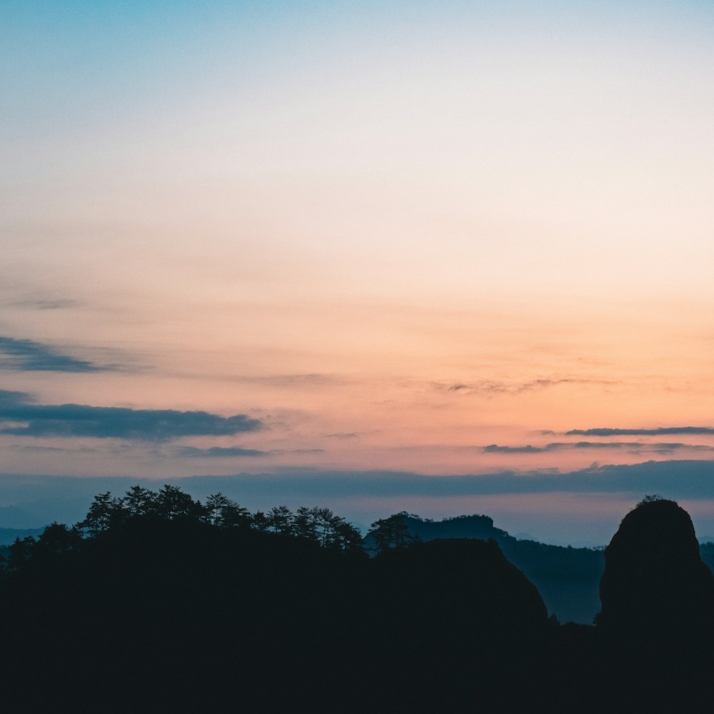 a bird flying in the sky at sunset