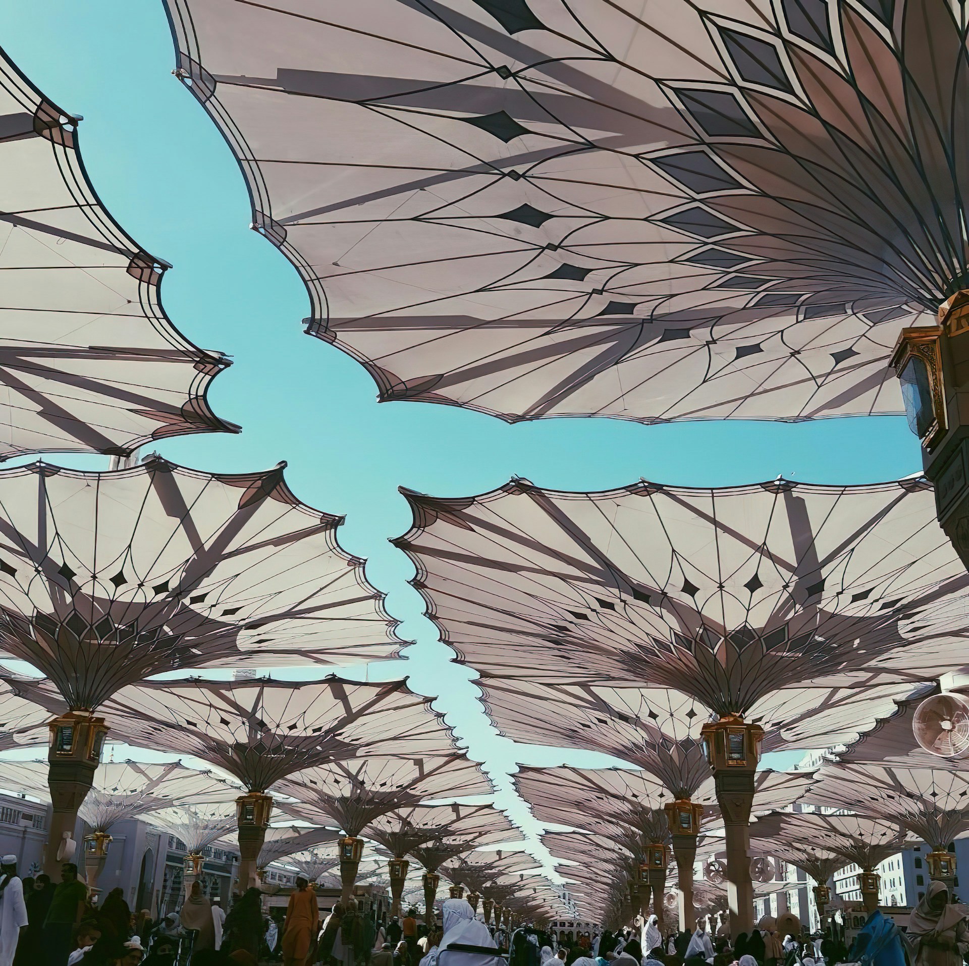 a bunch of umbrellas that are hanging in the air