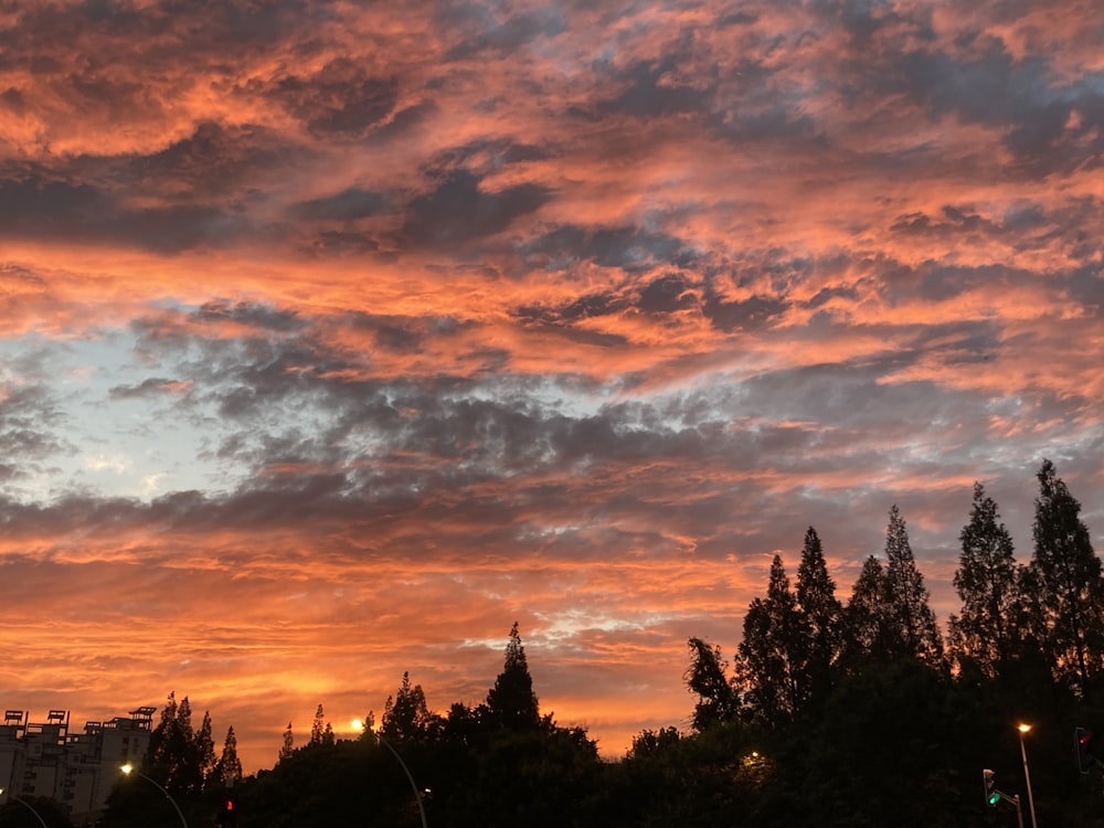 a sunset with clouds and trees in the foreground