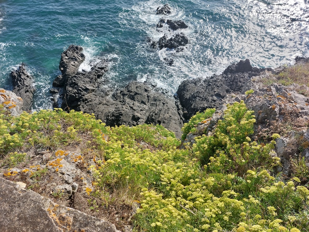 a view of a body of water from a cliff