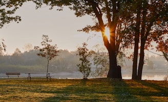 A calm sunrise over a peaceful park bench symbolizing new beginnings.