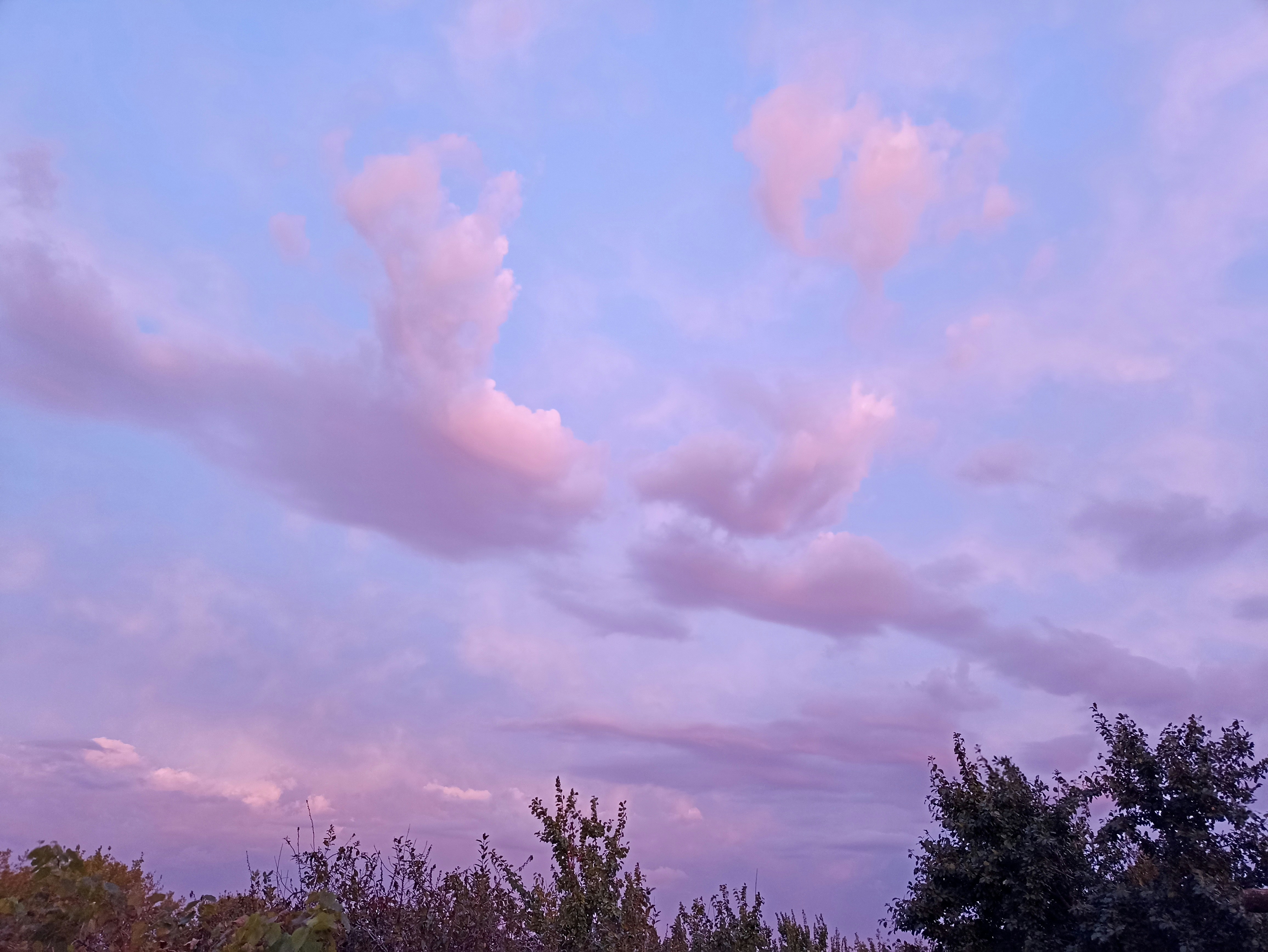 A purple sky with clouds and trees in the foreground photo – Free Cloud ...