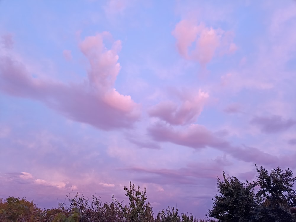 a purple sky with clouds and trees in the foreground