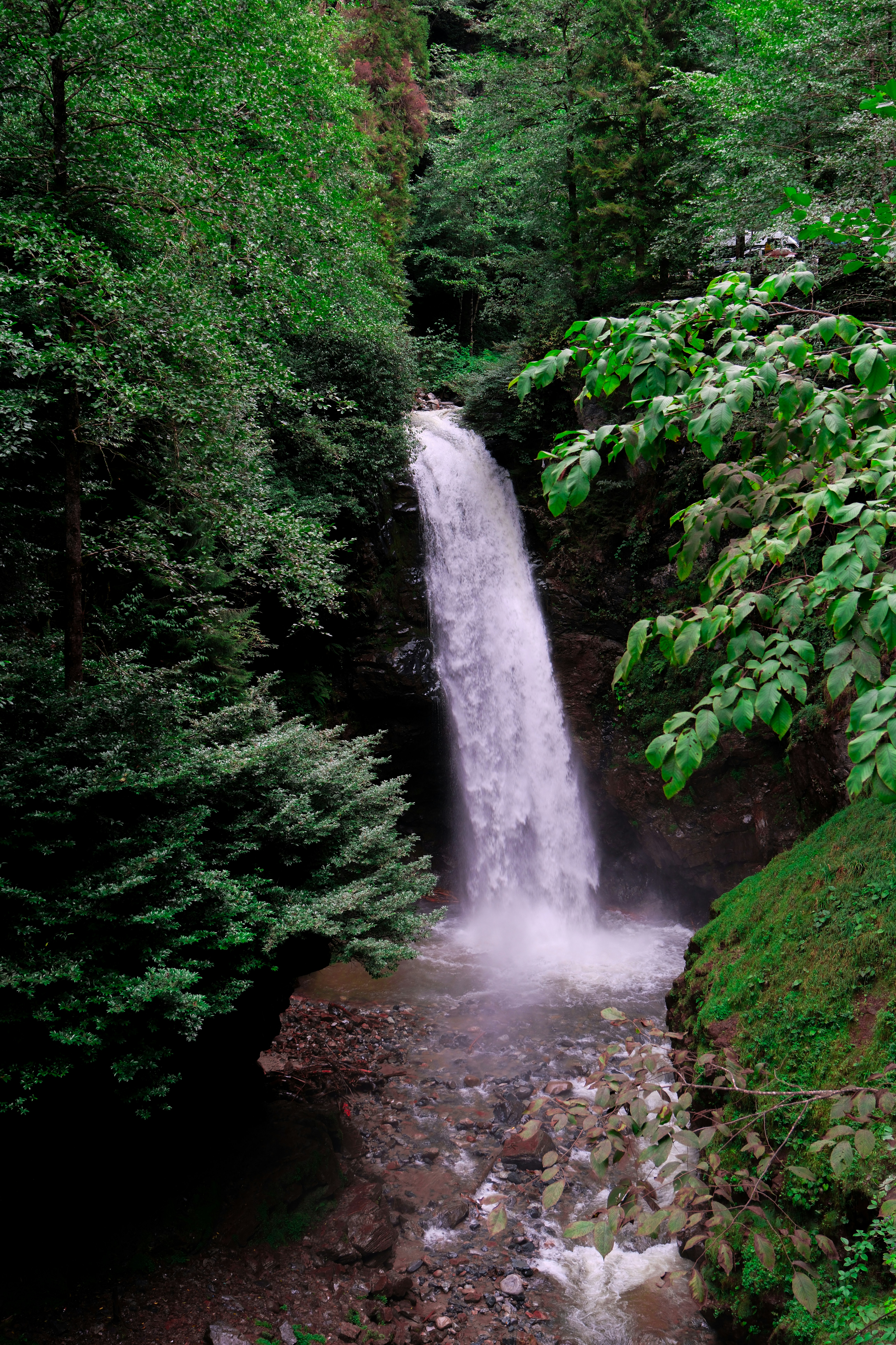 Photo by gurkan_kuluc