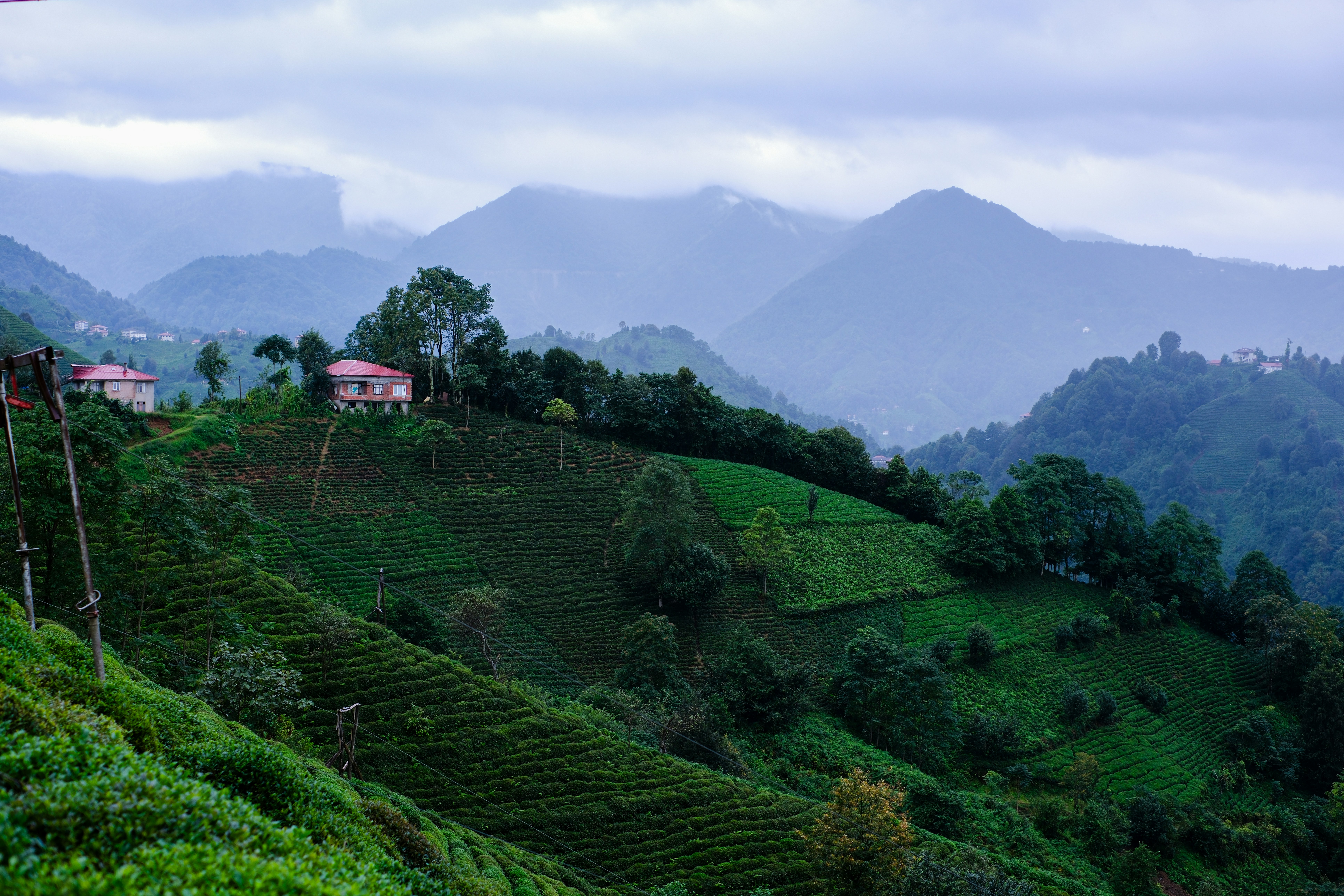 Photo by gurkan_kuluc