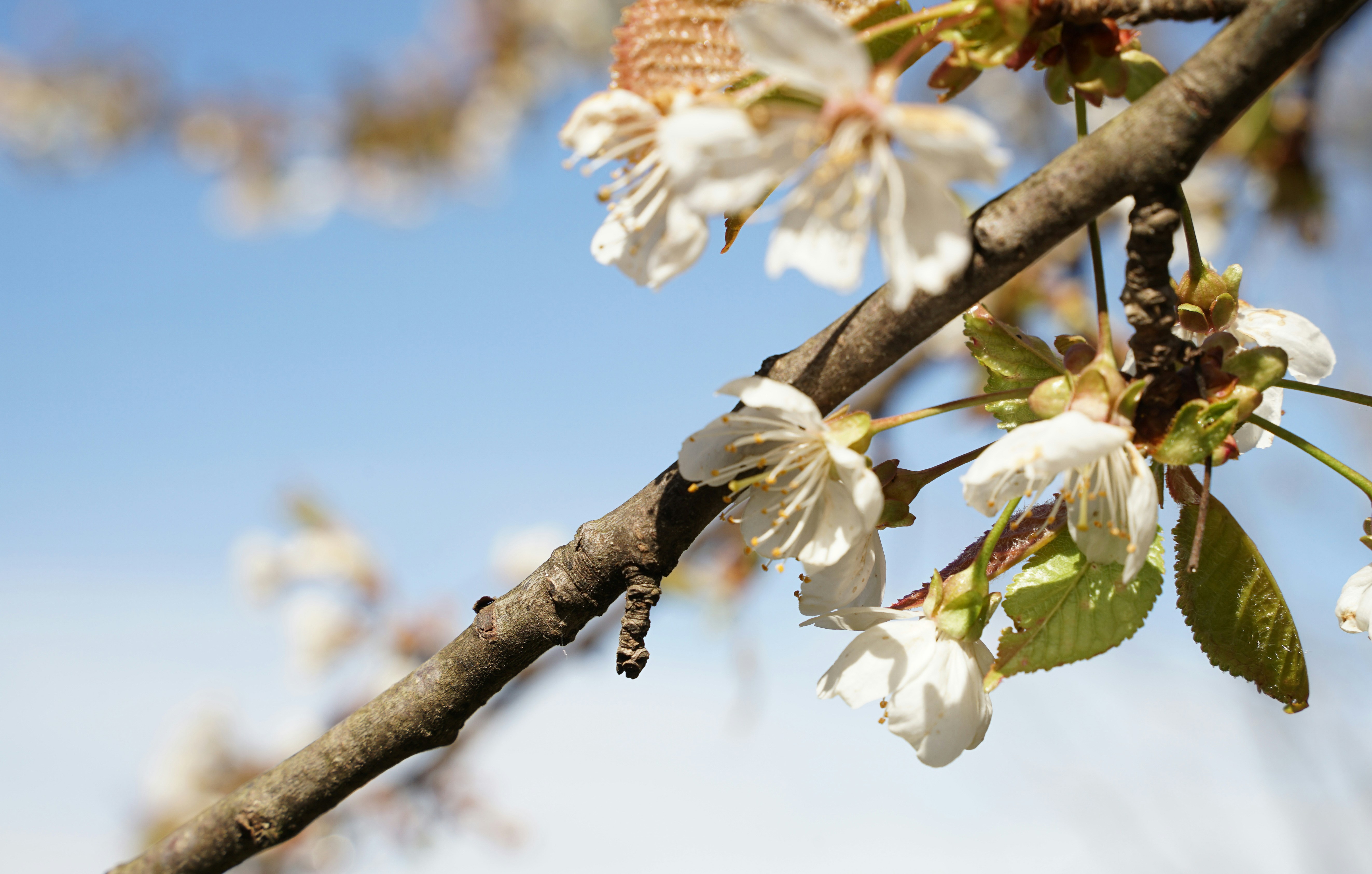 Photo by floriancordier