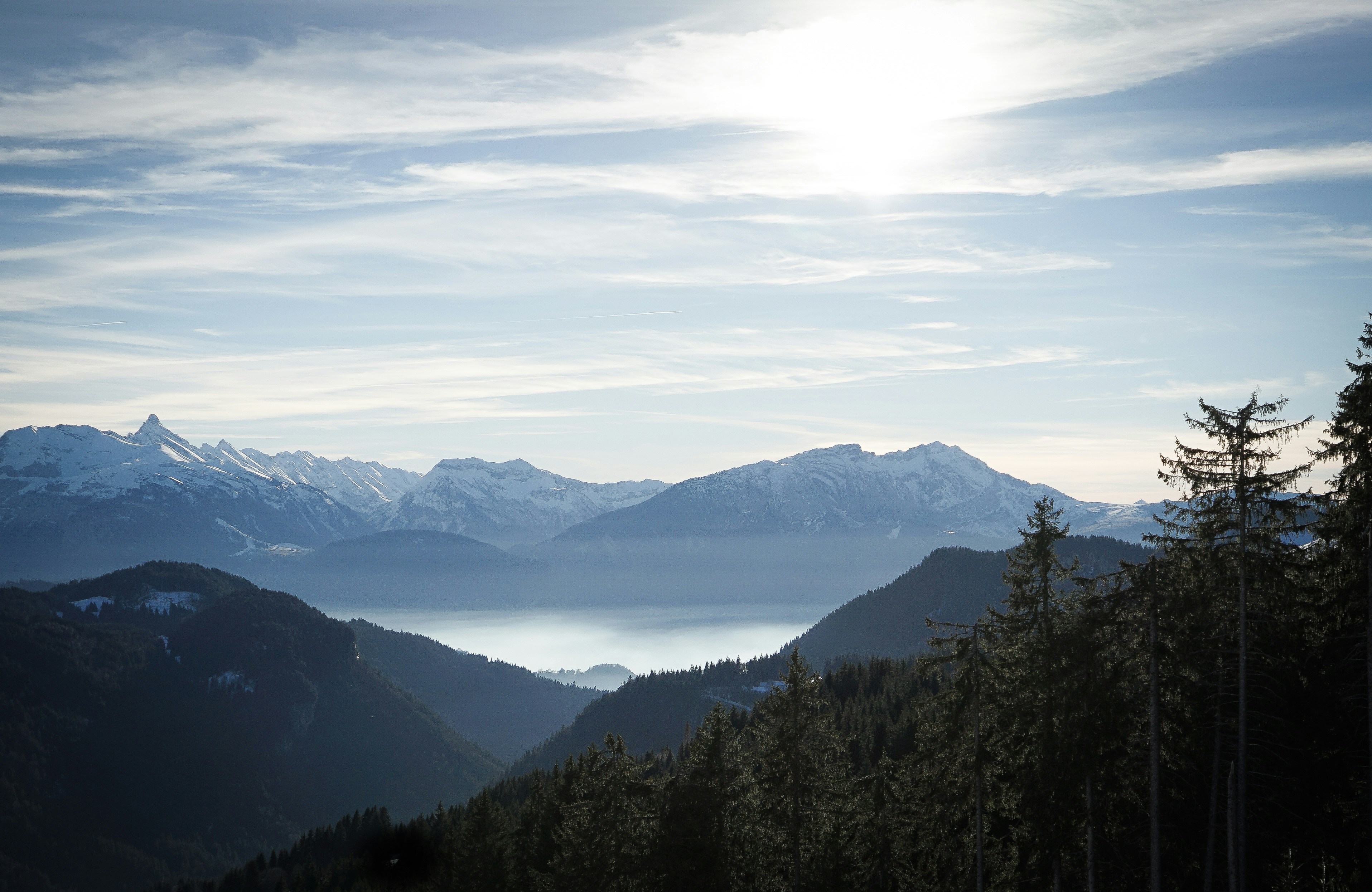 Photo by floriancordier