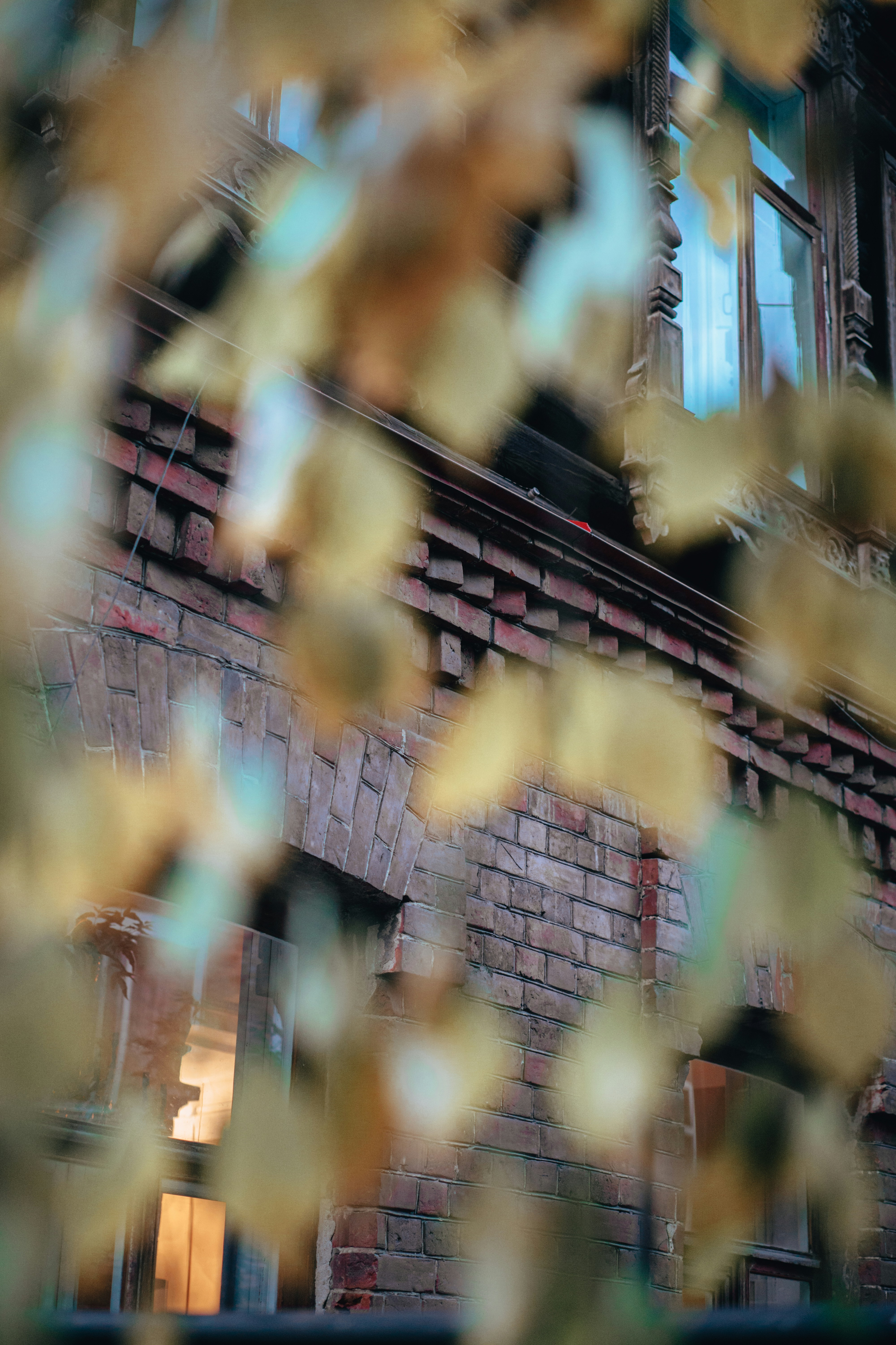 Photo by anamnesis33